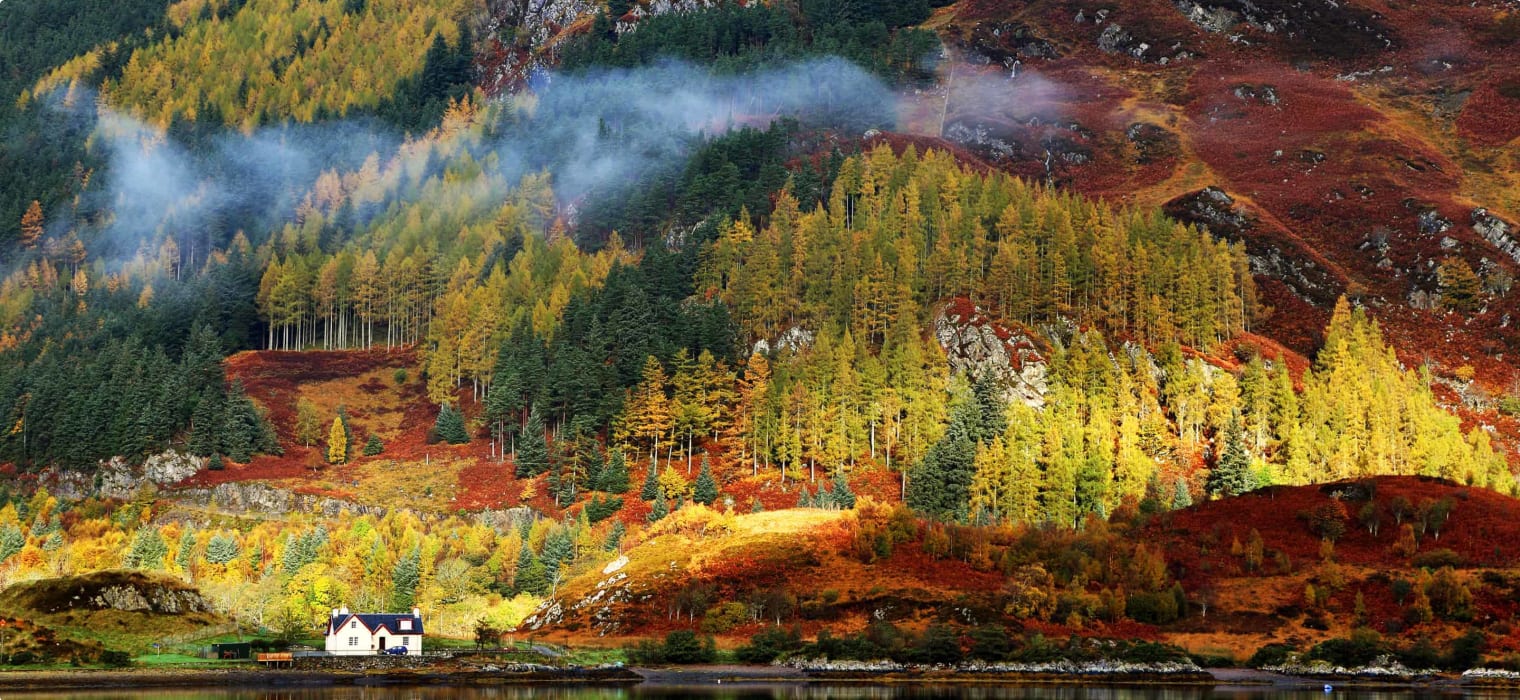 Autumn colours in Highlands