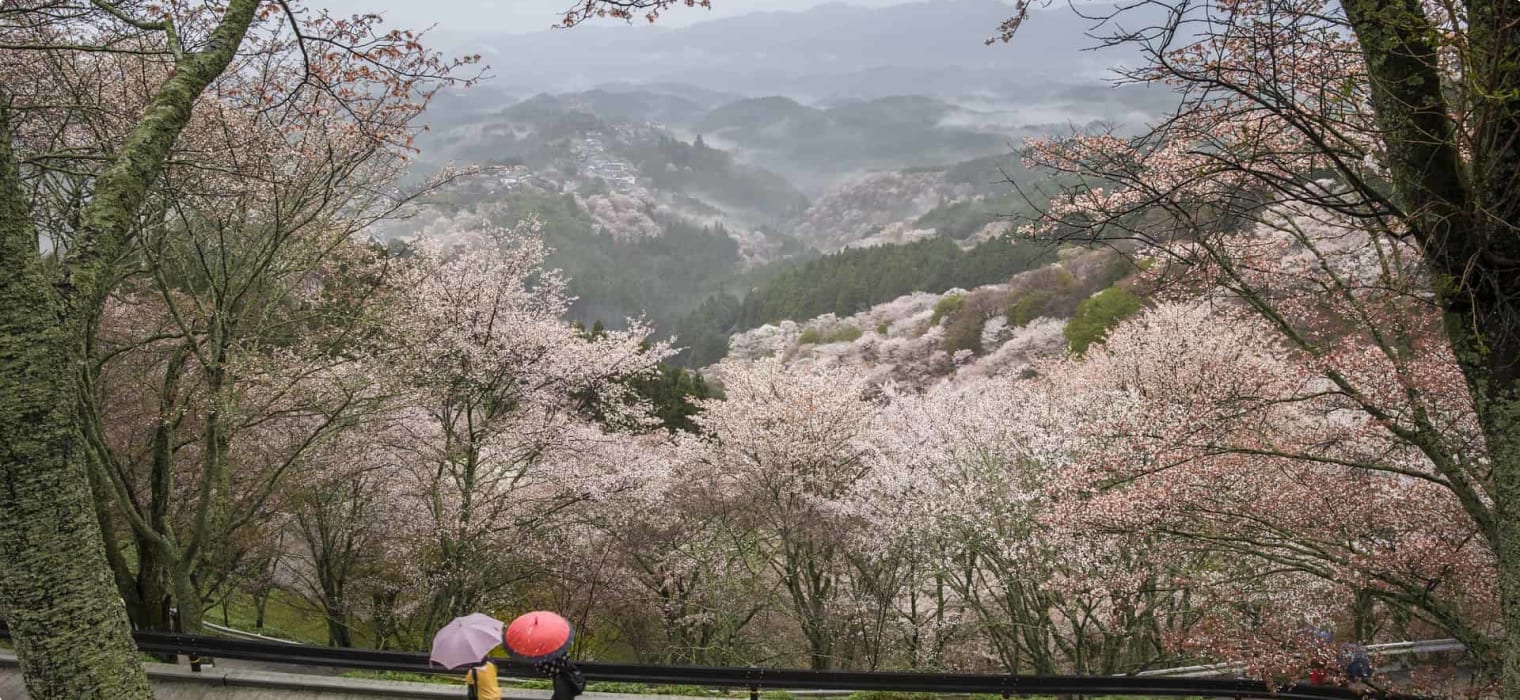 Nara prefecture Japan landscape