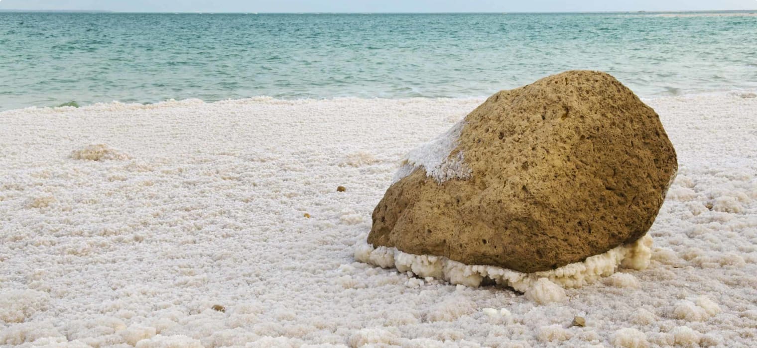 dead sea shoreline