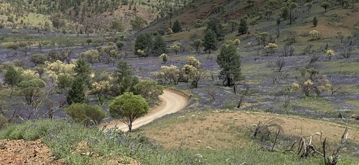Wilpena pound - October