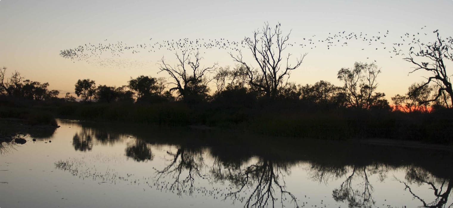 Diamantina River