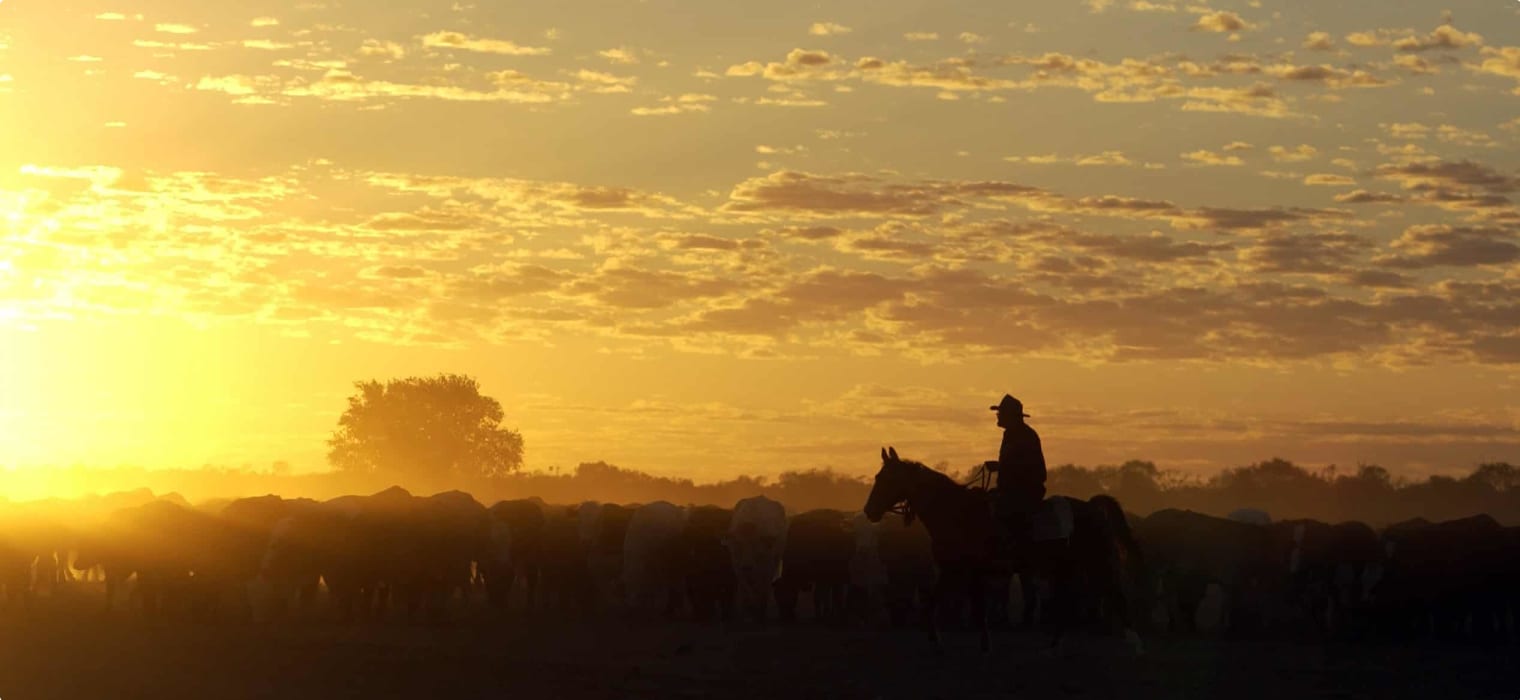 Birdsville cattle muster