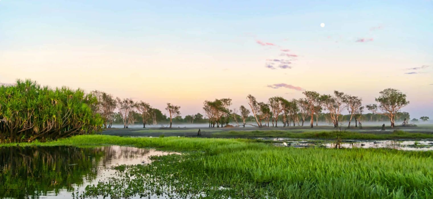 Wetlands Kakadu