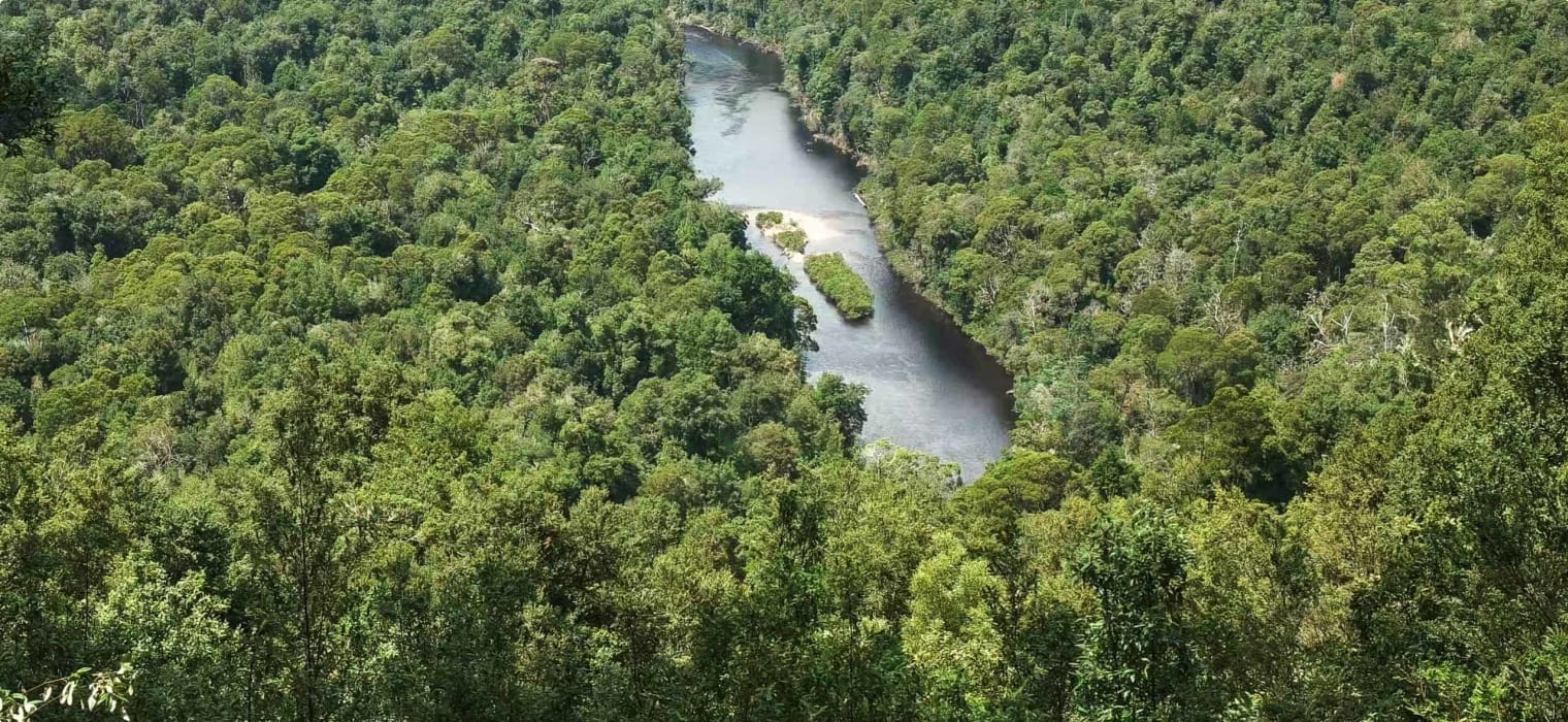 The Tarkine