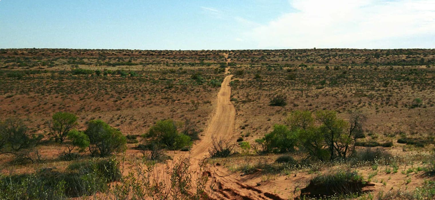 Simpson desert