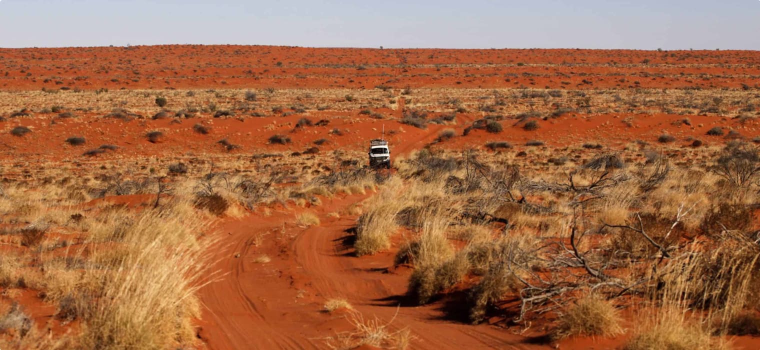 The Simpson Desert