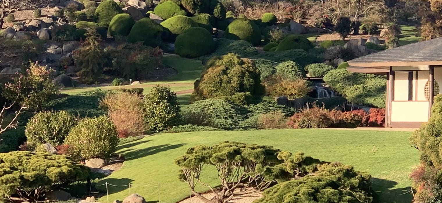 Cowra Japanese Garden