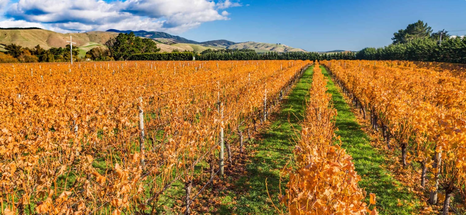 Martinborough New Zealand