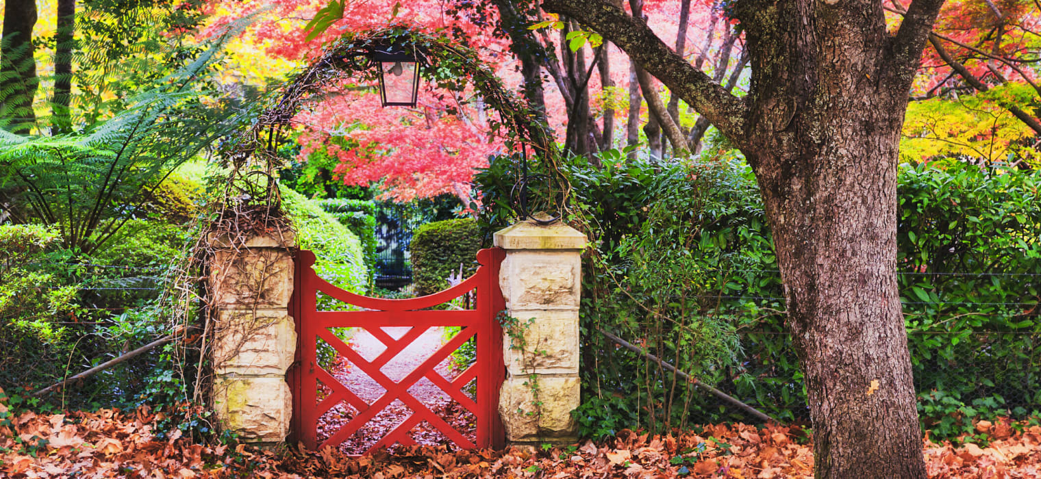 Autumnal small group tour of the Blue Mountains