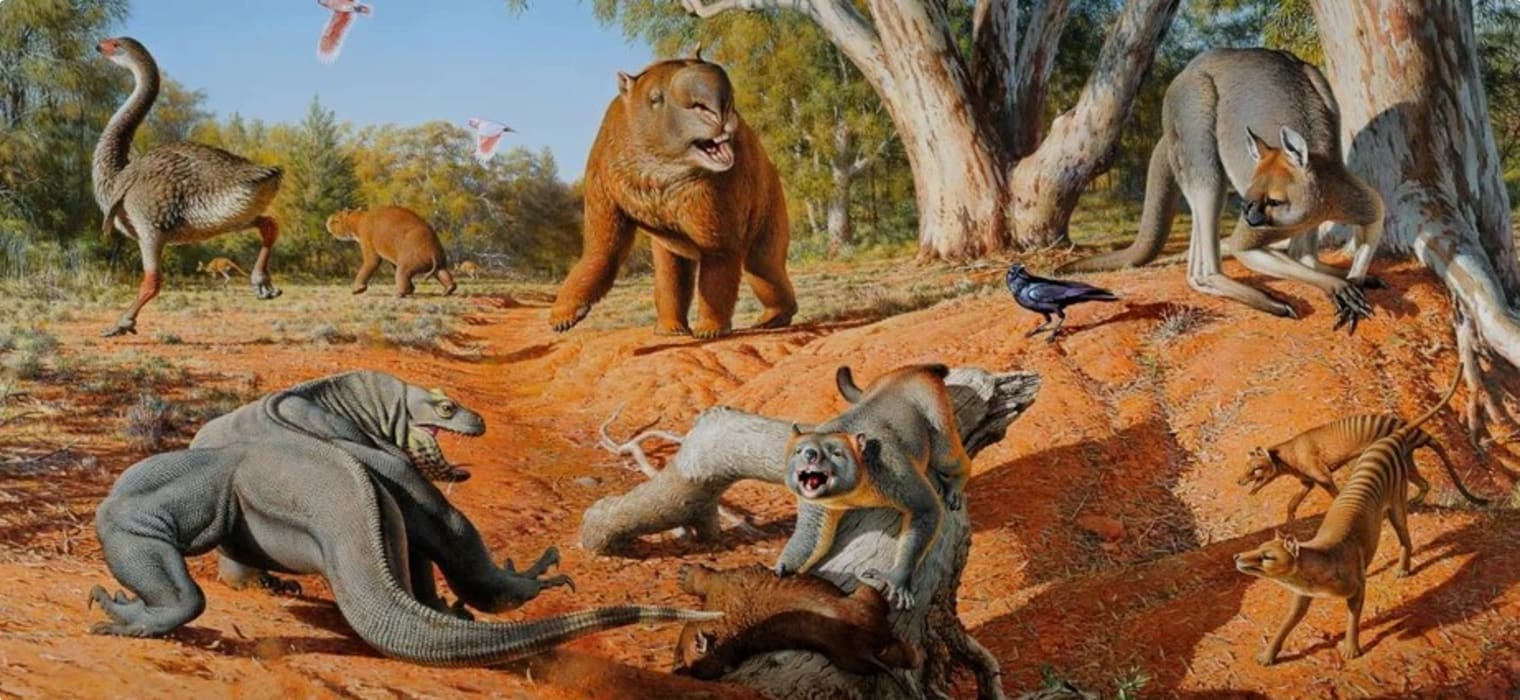 Escorted small group tour of Australia's megafauna