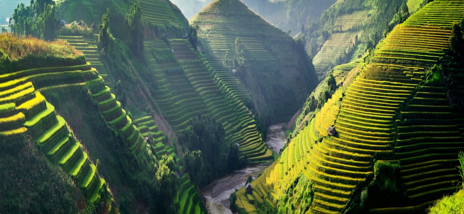 Rice fields on terraces in the sun at MuCangChai, Vietnam