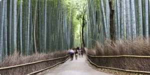 Japan History by Rail - Small Group Tour