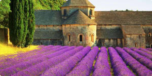 Provincial France Lavender