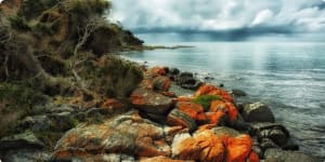 Tasmanian coastline