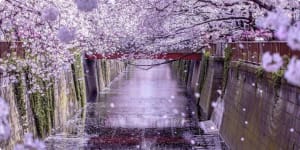 Specialist Escorted Small Group cultural Tours exploring Japan