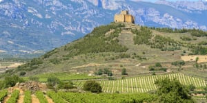 Vineyard with Davaillo castle as background, La Rioja (Spain)