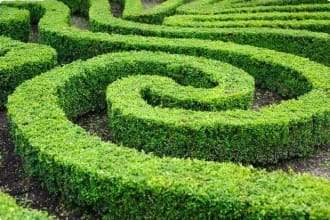 French formal garden in Paris