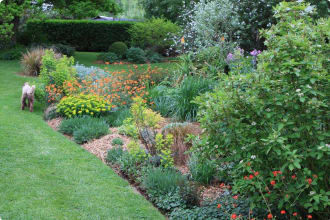 Garden in Hobart