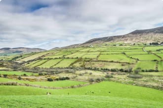 Irish fields in the sunset in County Kerry just outside of Dingle Ireland