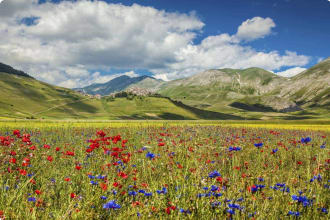 Piano Grande mountain plateau, Umbria, Italy