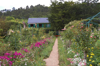 Rose Garden, Giverny - France