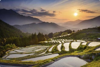 Rice Terraces at Sunset Maruyama-senmaida, Kumano, Japan.