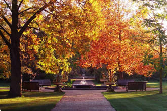 Garden britain autumn sunset