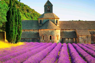 Lavender Fields Gordes, Luberon, Vaucluse, Provence, France