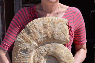 Morocco Ammonite Paleontology