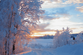 Snow in Lapland