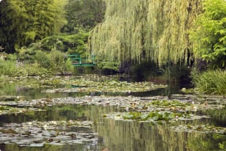 French gardens small group Monet