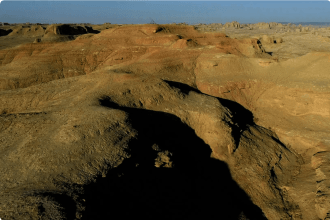 Mongolia Dinosaurs