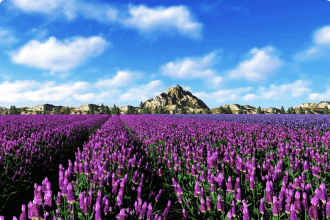 Secret France