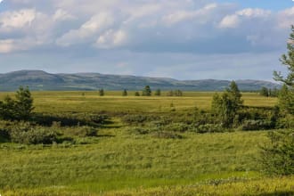 National Park Urals
