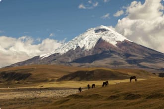 Cotopaxi volcano Ecuador