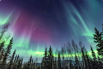 The Northern Lights: The True Story of the Man Who Unlocked the Secrets of  the Aurora Borealis