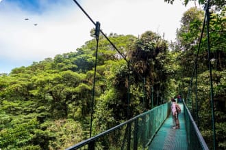 Hanging bridge at the Monteverde Cloud Forest, Costa Rica