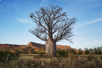 Cockburn Ranges, Gibb River Road