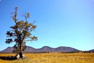 Wilpena Pound