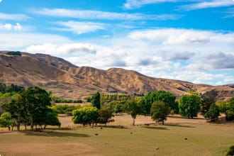 Dry hills and farmland of Martinborough