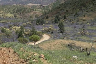 Wilpena pound - October