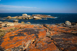 Flinders Island coastline