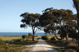 Flinders Island, road and ocean view