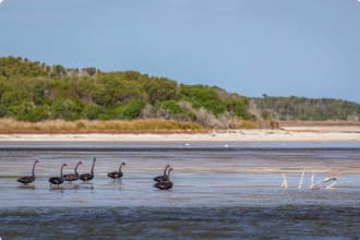 Flinders Island wetlands