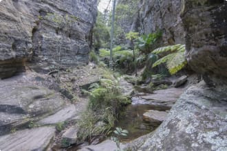 Carnarvon Gorge, Queensland