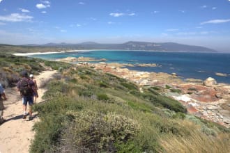 Walking track Flinders Island by TA and Graham Freeman