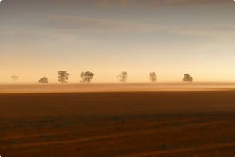 Mallee