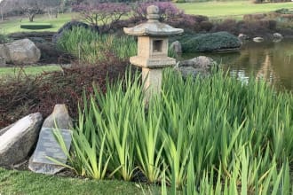 Cowra Japanese garden