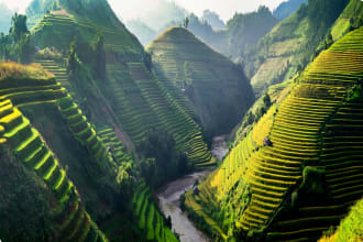 Rice fields on terraces in the sun at MuCangChai, Vietnam