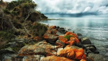 Tasmanian coastline